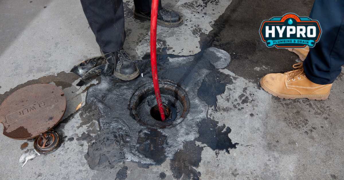 Signs Your Sewer Line Needs Professional Attention